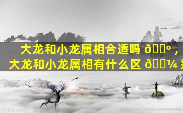 大龙和小龙属相合适吗 🌺 ,大龙和小龙属相有什么区 🐼 别